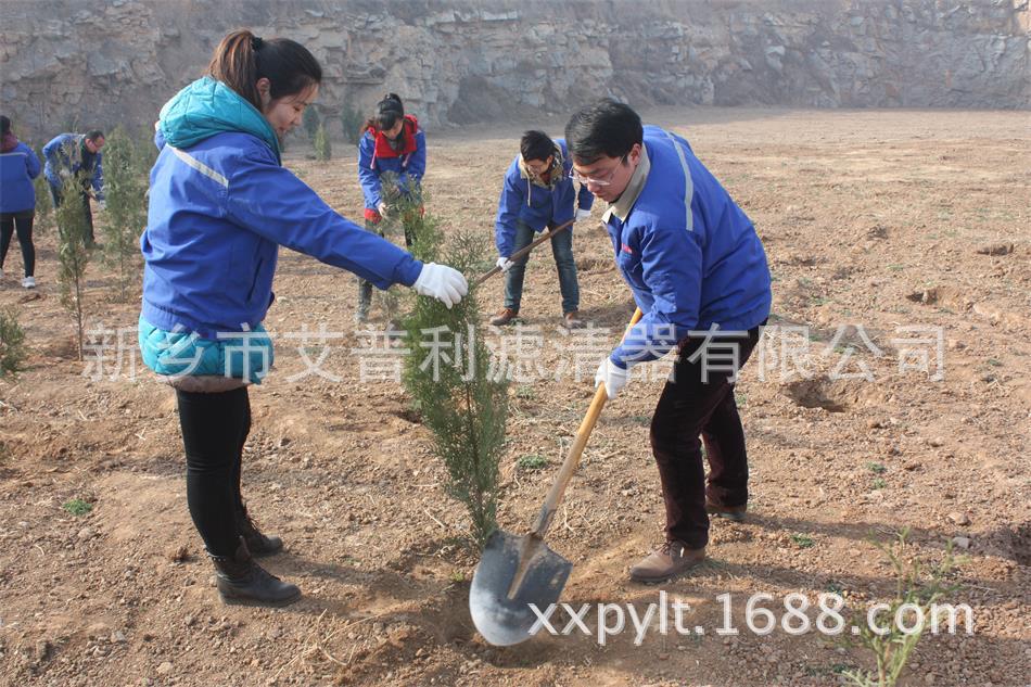 艾普利鳳凰山植樹，為美麗新鄉(xiāng)添新綠(圖2)